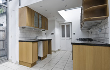 The Flat kitchen extension leads